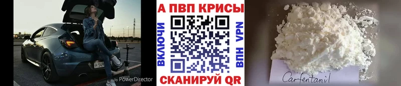 A-PVP крисы CK  купить наркотики цена  Шадринск 