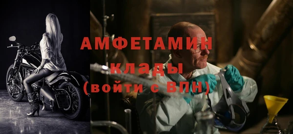 шишки Аркадак