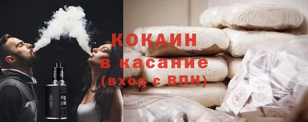 шишки Аркадак