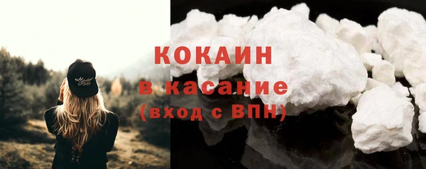 шишки Аркадак