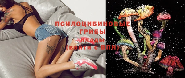 шишки Аркадак