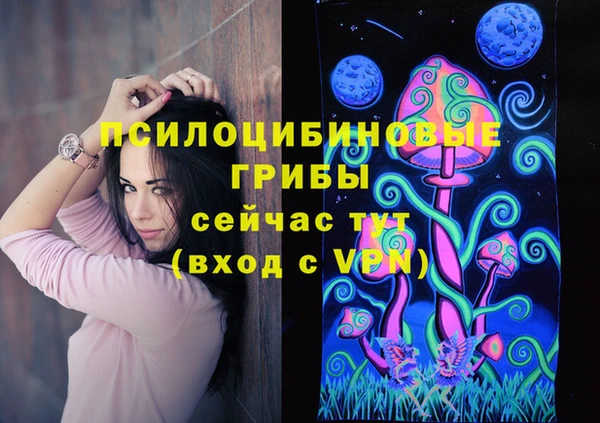 дмт Армянск