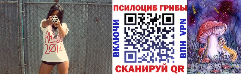 Псилоцибиновые грибы Psilocybe  Шадринск 