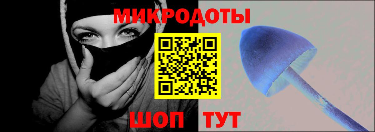 Галлюциногенные грибы прущие грибы  Вход с VPN  Шадринск 