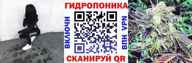цена   Шадринск  мега как войти  МАРИХУАНА White Widow 