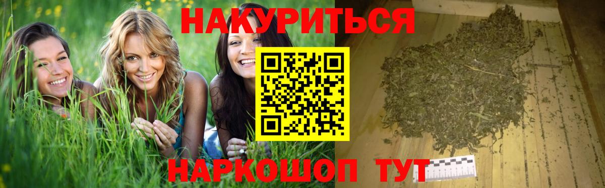 Канабис план Шадринск